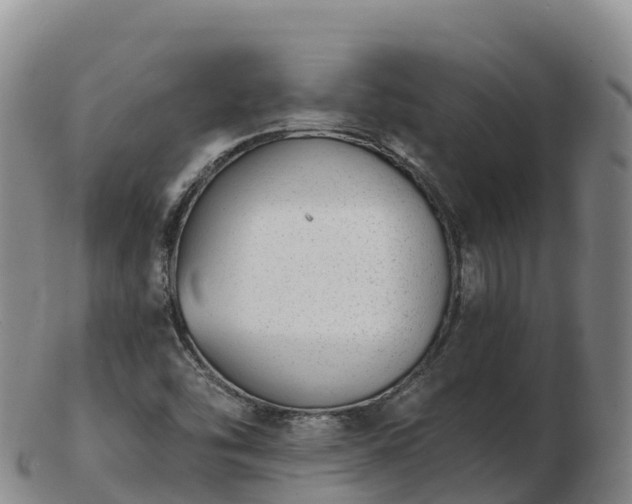 X0000103301454200809051511