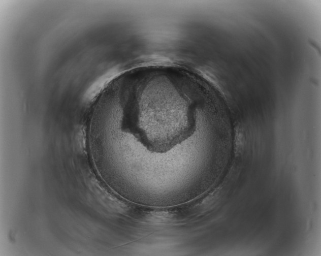 X0000103301455200809051511