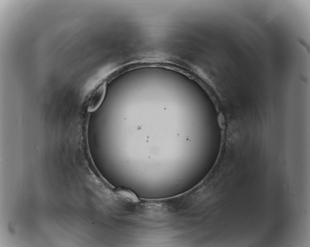 X0000103301456200809051511