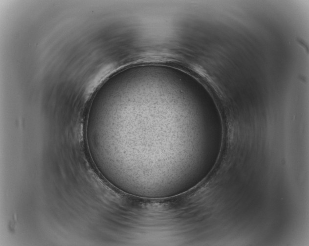 X0000103301459200809051511