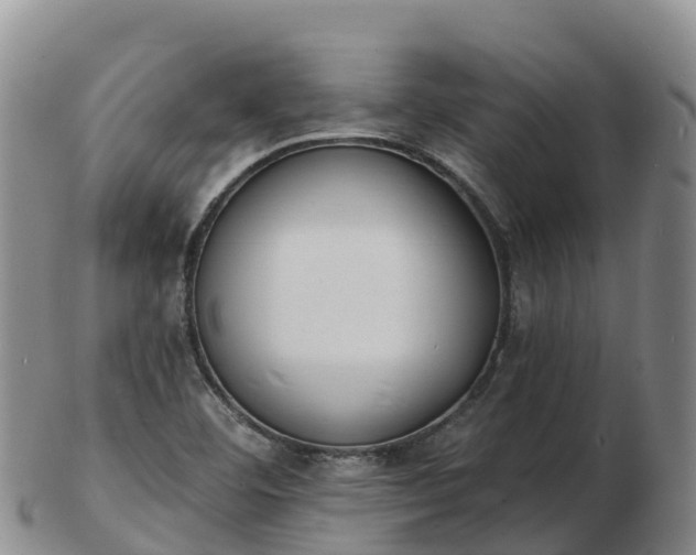 X0000103301460200809051511