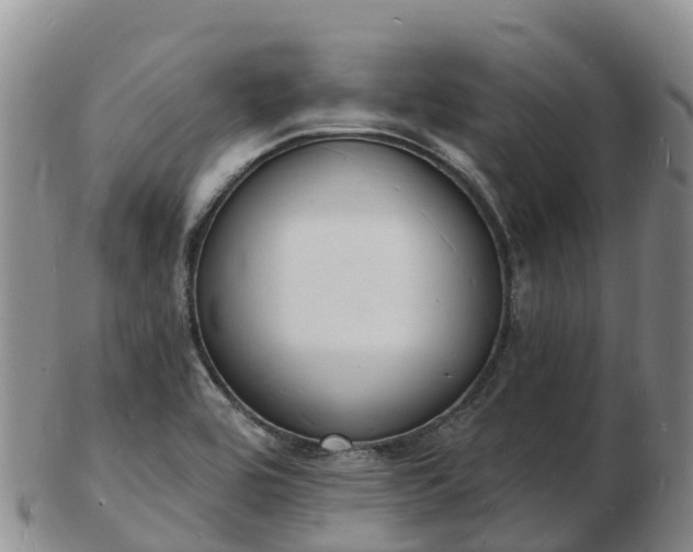 X0000103301464200809051511