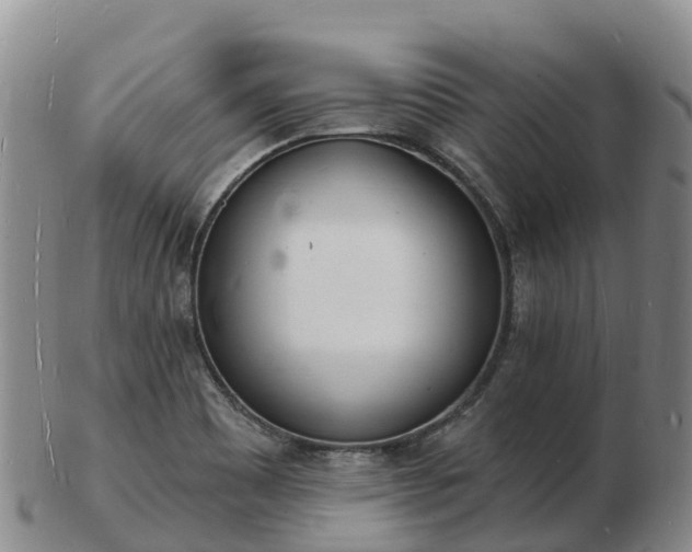 X0000103301465200809051511