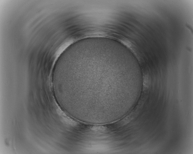 X0000103301466200809051511