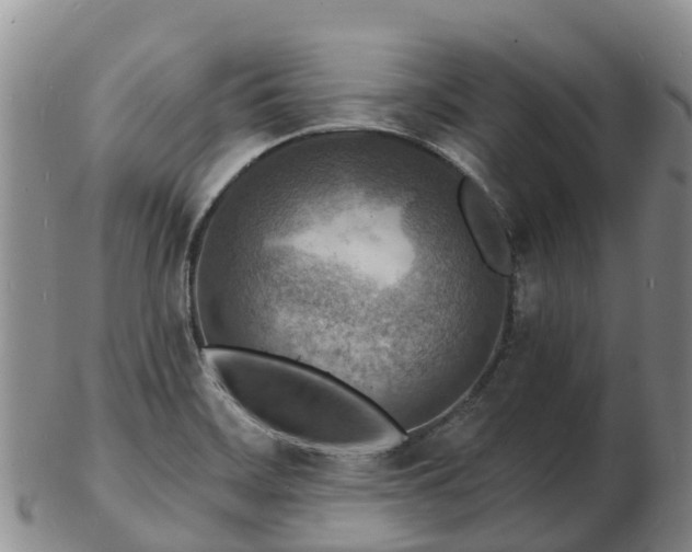 X0000103301468200809051511