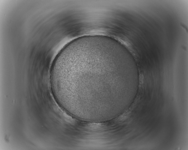 X0000103301470200809051511