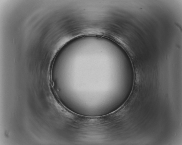 X0000103301471200809051511