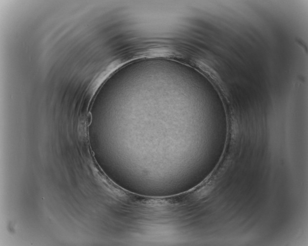 X0000103301473200809051511