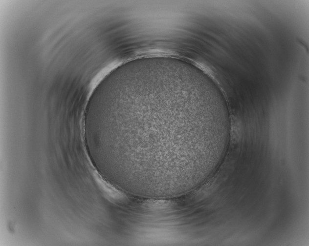 X0000103301474200809051511