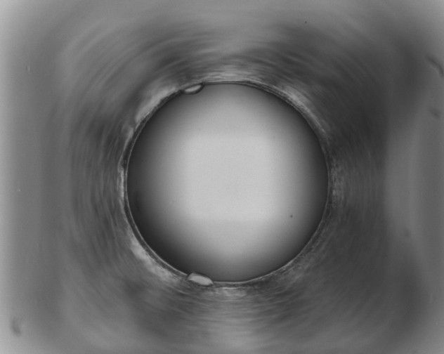 X0000103301476200809051511