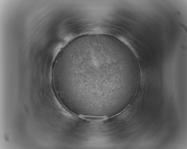 X0000103301477200809051511