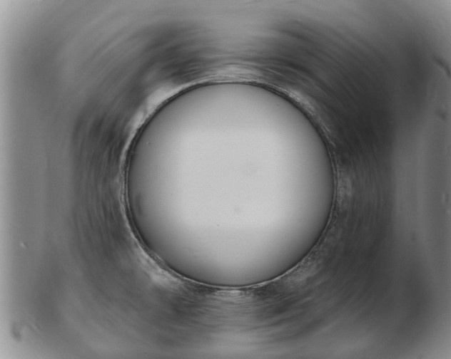 X0000103301478200809051511