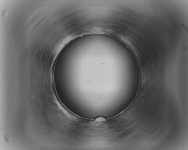 X0000103301479200809051511