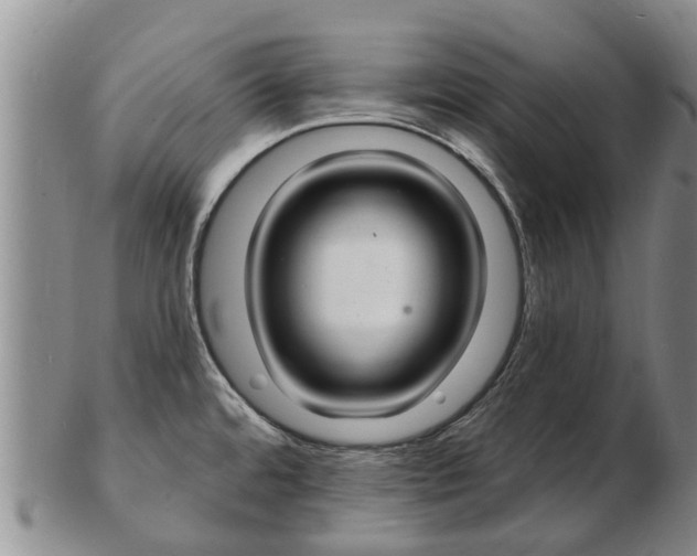 X0000103301480200809051511