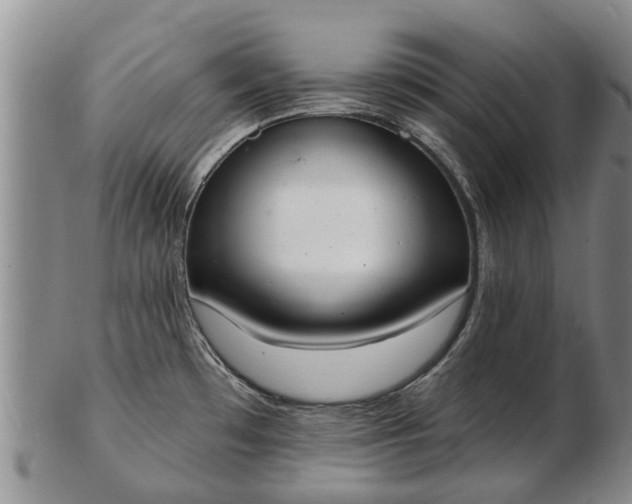 X0000103301481200809051511