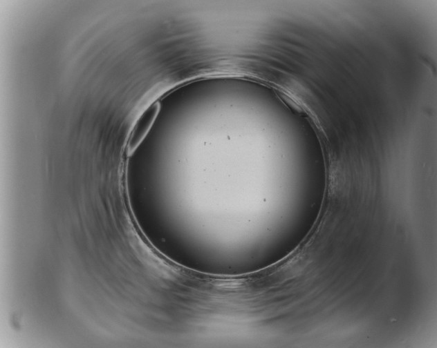 X0000103301484200809051511