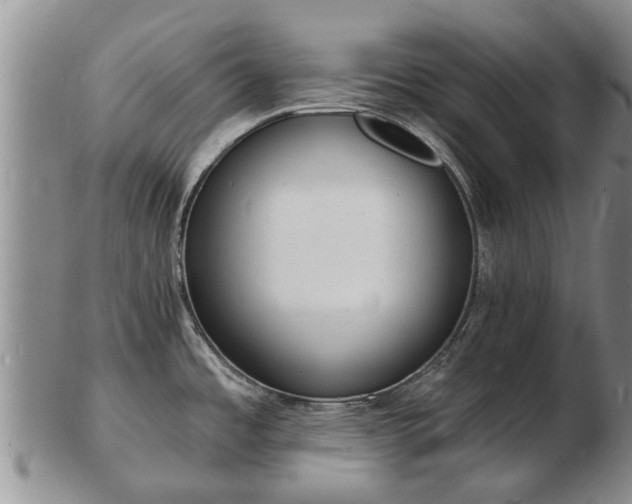 X0000103301485200809051511