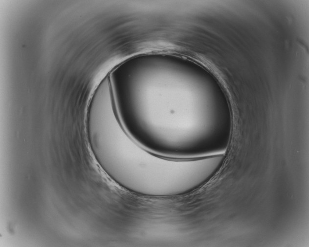 X0000103301488200809051511