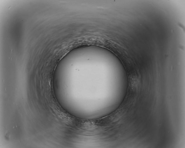 X0000103301489200809051510