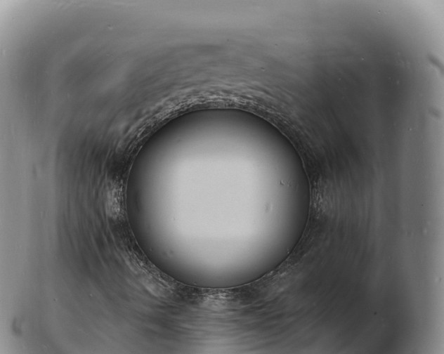 X0000103301490200809051510