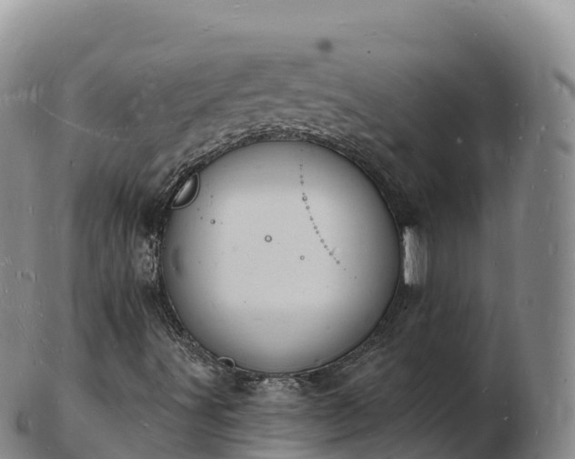 X0000103301491200809051510