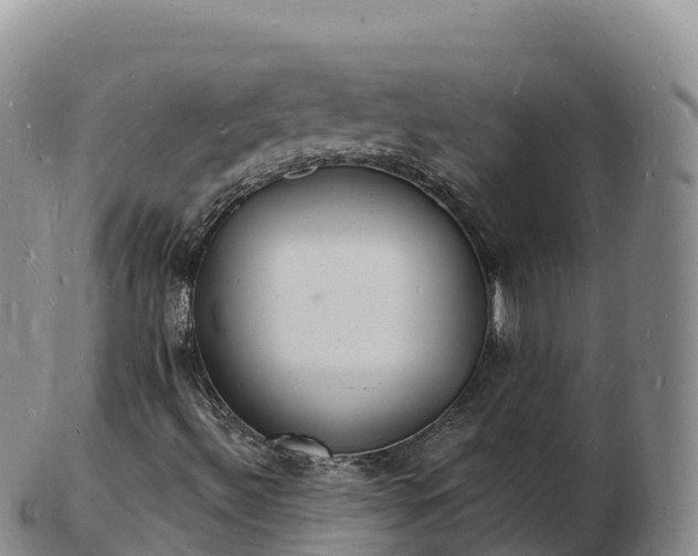 X0000103301492200809051510