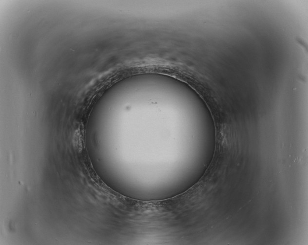 X0000103301493200809051510