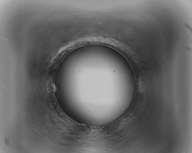 X0000103301494200809051510