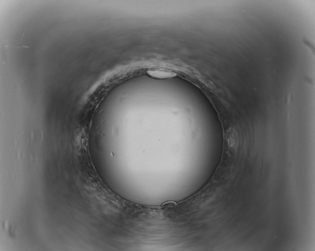 X0000103301495200809051510