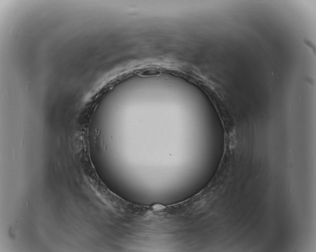 X0000103301496200809051510