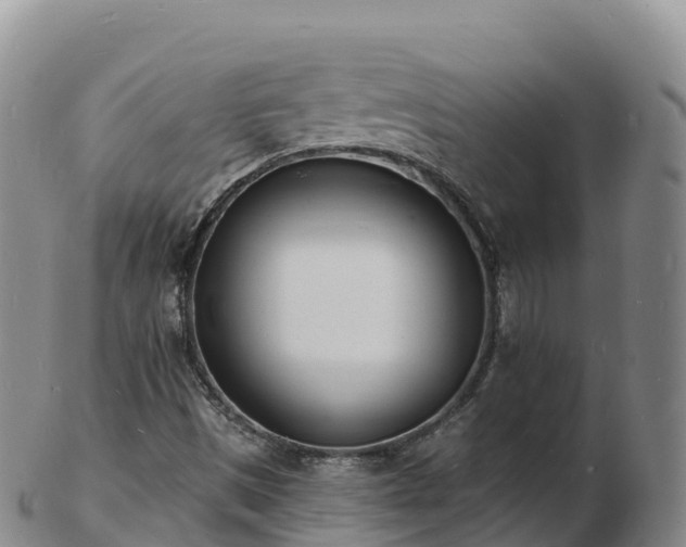 X0000103301497200809051510