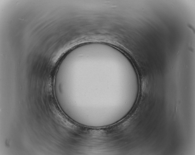 X0000103301498200809051510