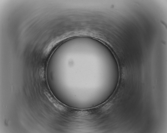 X0000103301499200809051510