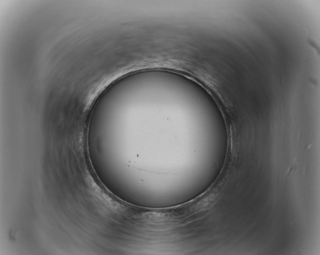 X0000103301500200809051510