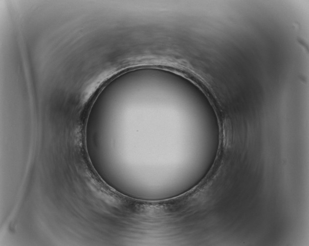 X0000103301501200809051510