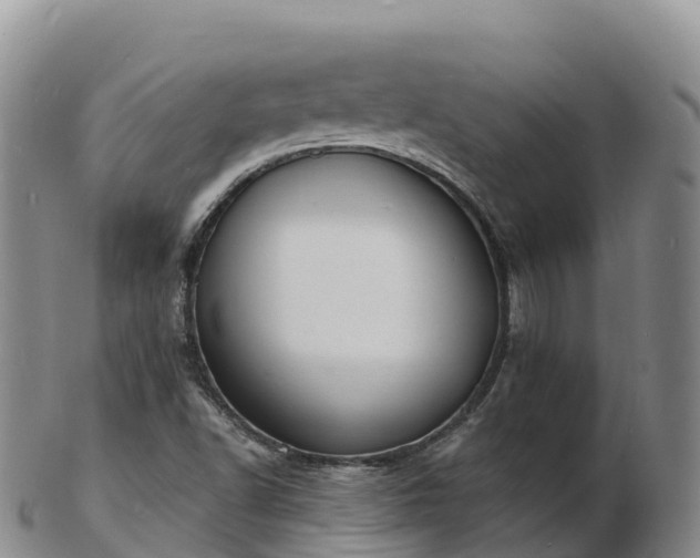 X0000103301502200809051510