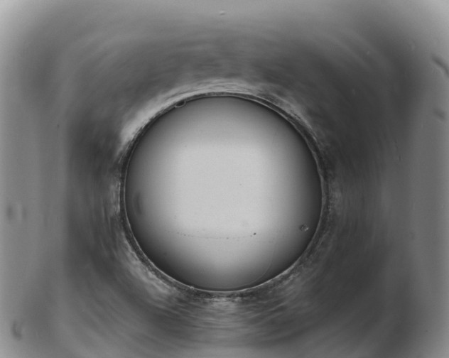 X0000103301504200809051510