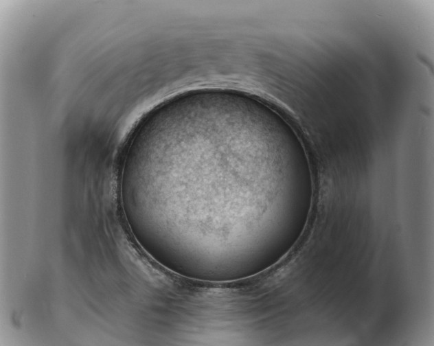 X0000103301506200809051510