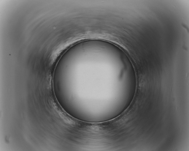 X0000103301507200809051510