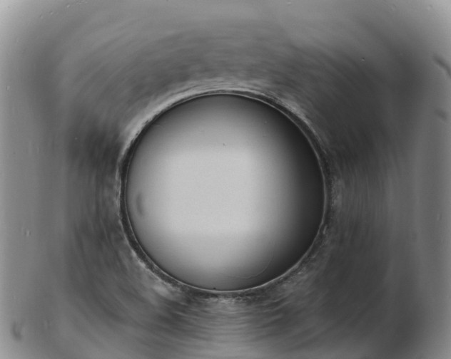 X0000103301508200809051510