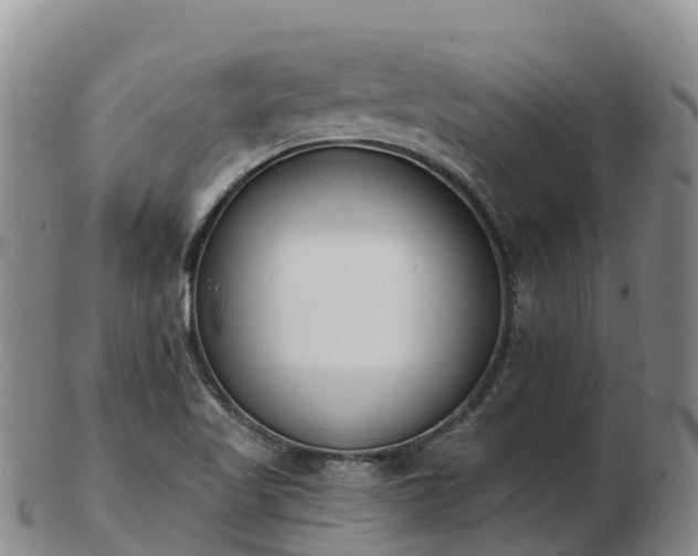 X0000103301509200809051510