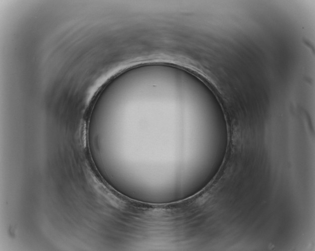 X0000103301510200809051510