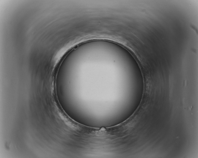 X0000103301511200809051510