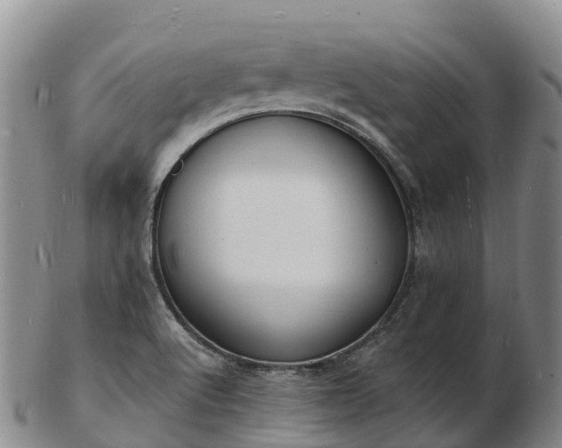 X0000103301512200809051510