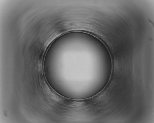 X0000103301513200809051511