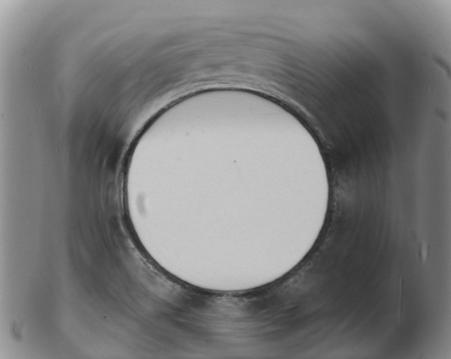 X0000103301514200809051511