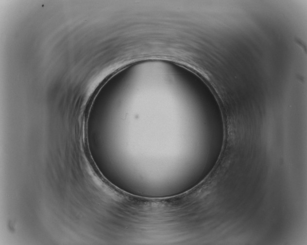 X0000103301515200809051511