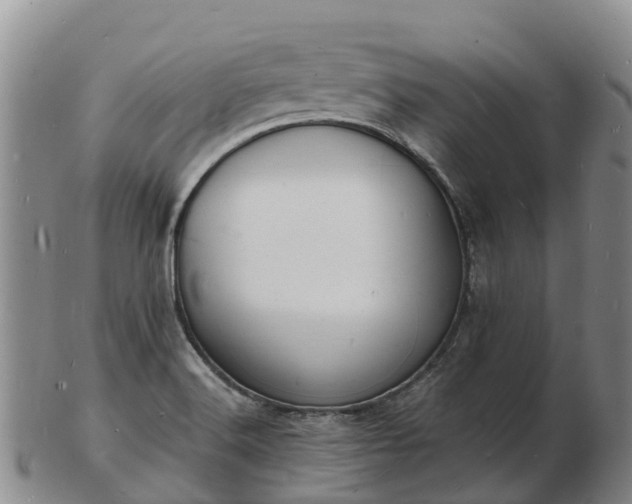 X0000103301516200809051511