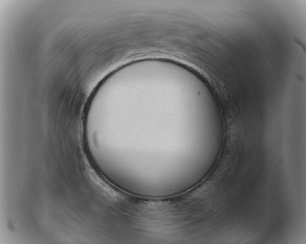 X0000103301518200809051511