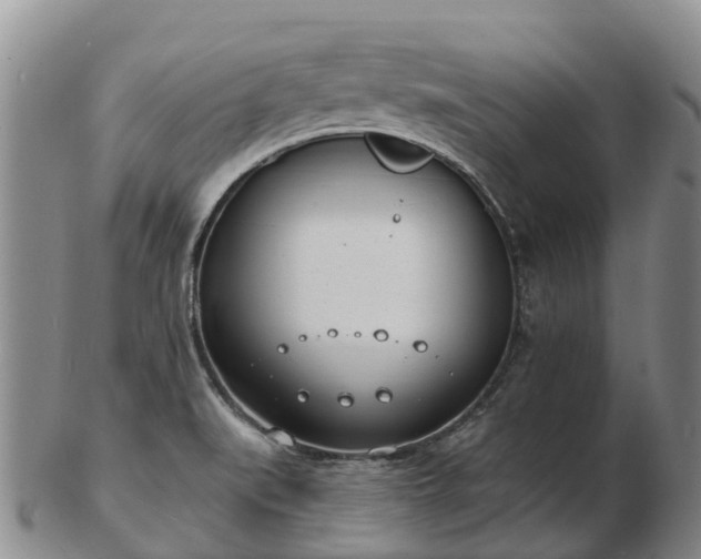 X0000103301519200809051511